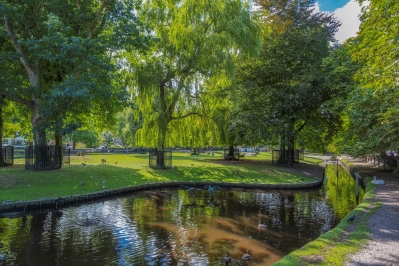 Hertenkamp.jpg